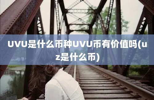 UVU是什么币种UVU币有价值吗(uz是什么币)