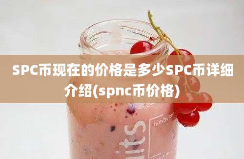 SPC币现在的价格是多少SPC币详细介绍(spnc币价格)