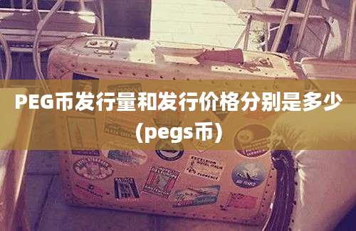 PEG币发行量和发行价格分别是多少(pegs币)