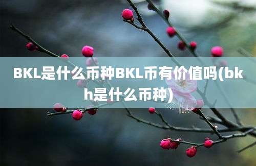 BKL是什么币种BKL币有价值吗(bkh是什么币种)