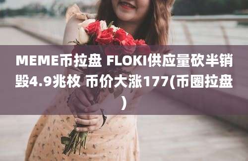 MEME币拉盘 FLOKI供应量砍半销毁4.9兆枚 币价大涨177(币圈拉盘)