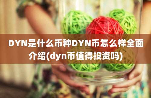 DYN是什么币种DYN币怎么样全面介绍(dyn币值得投资吗)