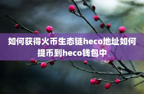 如何获得火币生态链heco地址如何提币到heco钱包中