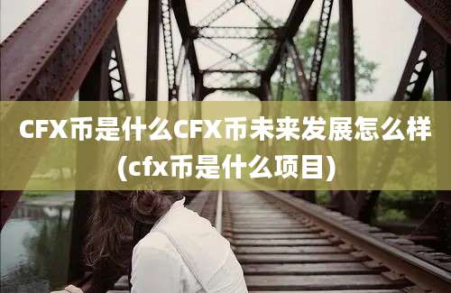 CFX币是什么CFX币未来发展怎么样(cfx币是什么项目)