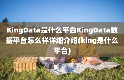 KingData是什么平台KingData数据平台怎么样详细介绍(king是什么平台)