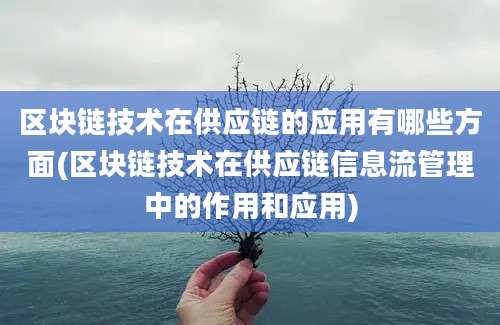 区块链技术在供应链的应用有哪些方面(区块链技术在供应链信息流管理中的作用和应用)