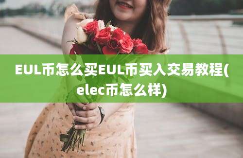 EUL币怎么买EUL币买入交易教程(elec币怎么样)