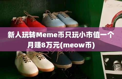 新人玩转Meme币只玩小市值一个月赚8万元(meow币)