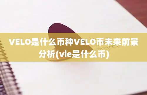 VELO是什么币种VELO币未来前景分析(vie是什么币)