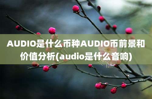 AUDIO是什么币种AUDIO币前景和价值分析(audio是什么音响)