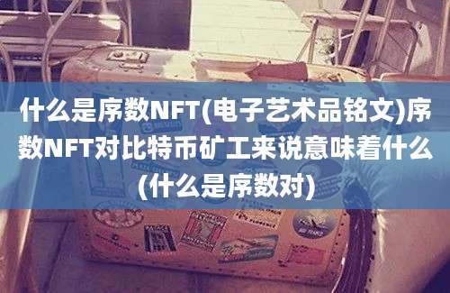 什么是序数NFT(电子艺术品铭文)序数NFT对比特币矿工来说意味着什么(什么是序数对)