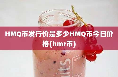 HMQ币发行价是多少HMQ币今日价格(hmr币)