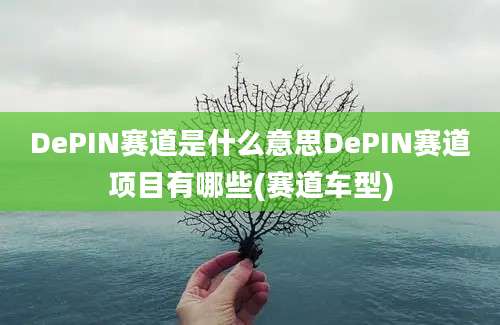 DePIN赛道是什么意思DePIN赛道项目有哪些(赛道车型)