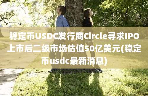 稳定币USDC发行商Circle寻求IPO上市后二级市场估值50亿美元(稳定币usdc最新消息)