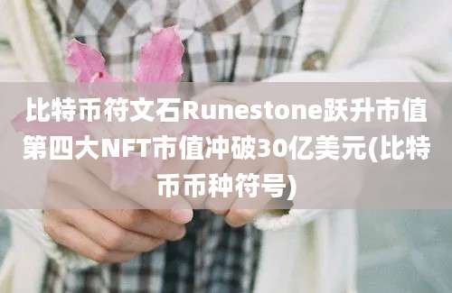 比特币符文石Runestone跃升市值第四大NFT市值冲破30亿美元(比特币币种符号)