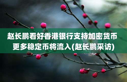 赵长鹏看好香港银行支持加密货币 更多稳定币将流入(赵长鹏采访)