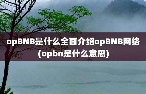 opBNB是什么全面介绍opBNB网络(opbn是什么意思)