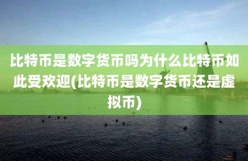 比特币是数字货币吗为什么比特币如此受欢迎(比特币是数字货币还是虚拟币)