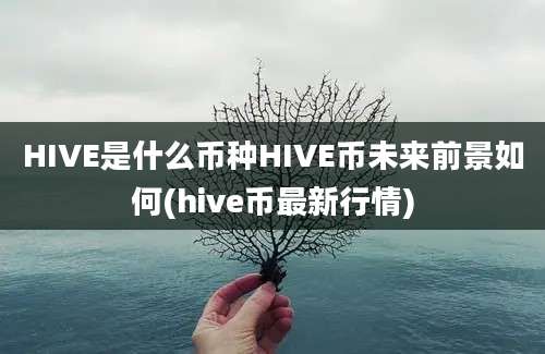 HIVE是什么币种HIVE币未来前景如何(hive币最新行情)