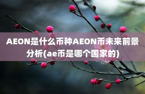 AEON是什么币种AEON币未来前景分析(ae币是哪个国家的)