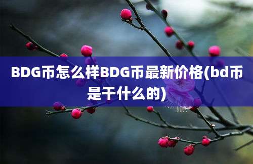 BDG币怎么样BDG币最新价格(bd币是干什么的)