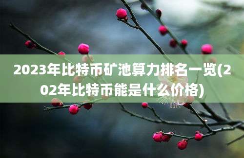 2023年比特币矿池算力排名一览(202年比特币能是什么价格)