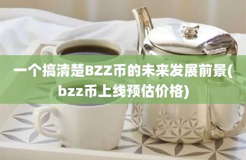 一个搞清楚BZZ币的未来发展前景(bzz币上线预估价格)