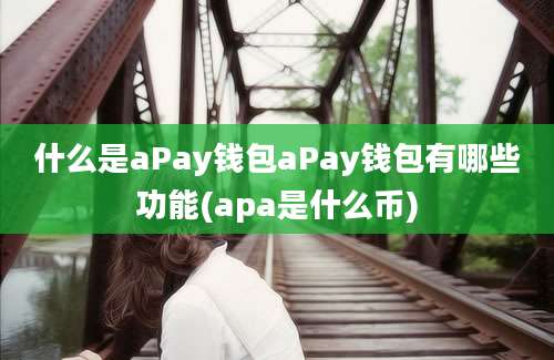 什么是aPay钱包aPay钱包有哪些功能(apa是什么币)