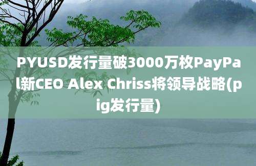 PYUSD发行量破3000万枚PayPal新CEO Alex Chriss将领导战略(pig发行量)