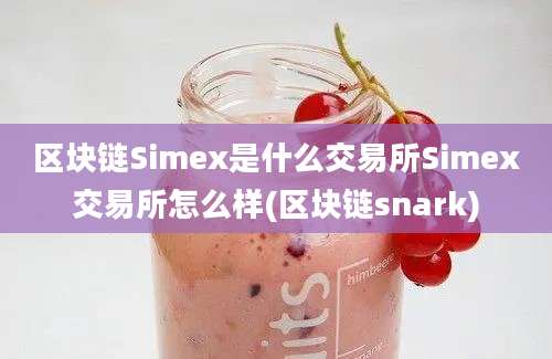 区块链Simex是什么交易所Simex交易所怎么样(区块链snark)