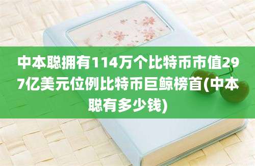 中本聪拥有114万个比特币市值297亿美元位例比特币巨鲸榜首(中本聪有多少钱)