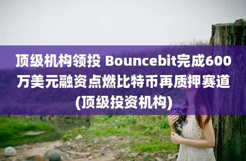 顶级机构领投 Bouncebit完成600万美元融资点燃比特币再质押赛道(顶级投资机构)