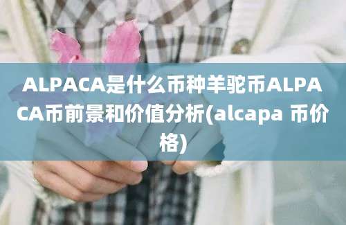 ALPACA是什么币种羊驼币ALPACA币前景和价值分析(alcapa 币价格)