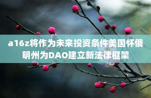 a16z将作为未来投资条件美国怀俄明州为DAO建立新法律框架