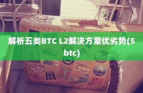 解析五类BTC L2解决方案优劣势(5btc)