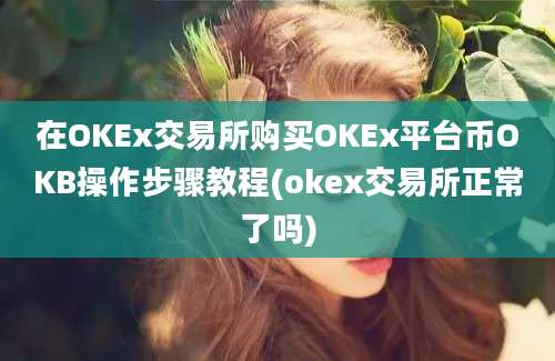 在OKEx交易所购买OKEx平台币OKB操作步骤教程(okex交易所正常了吗)