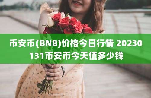 币安币(BNB)价格今日行情 20230131币安币今天值多少钱