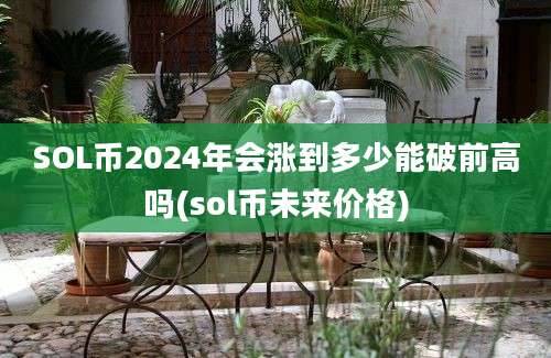 SOL币2024年会涨到多少能破前高吗(sol币未来价格)