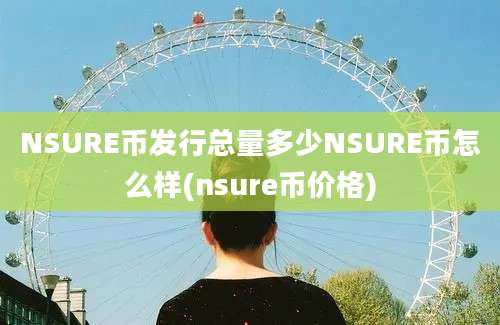 NSURE币发行总量多少NSURE币怎么样(nsure币价格)