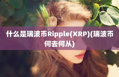 什么是瑞波币Ripple(XRP)(瑞波币何去何从)