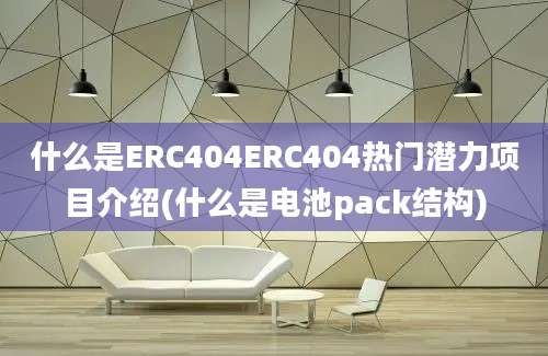 什么是ERC404ERC404热门潜力项目介绍(什么是电池pack结构)