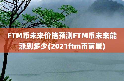 FTM币未来价格预测FTM币未来能涨到多少(2021ftm币前景)