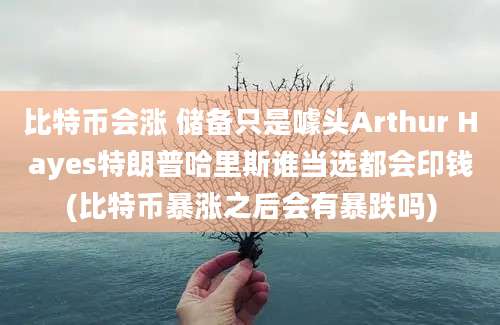 比特币会涨 储备只是噱头Arthur Hayes特朗普哈里斯谁当选都会印钱(比特币暴涨之后会有暴跌吗)