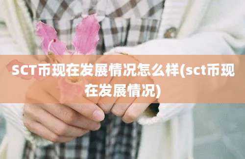 SCT币现在发展情况怎么样(sct币现在发展情况)