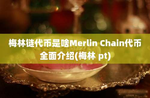 梅林链代币是啥Merlin Chain代币全面介绍(梅林 pt)