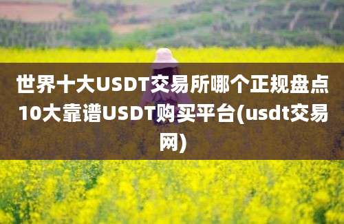 世界十大USDT交易所哪个正规盘点10大靠谱USDT购买平台(usdt交易网)