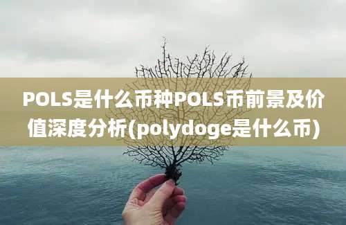 POLS是什么币种POLS币前景及价值深度分析(polydoge是什么币)