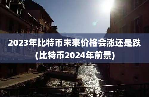 2023年比特币未来价格会涨还是跌(比特币2024年前景)