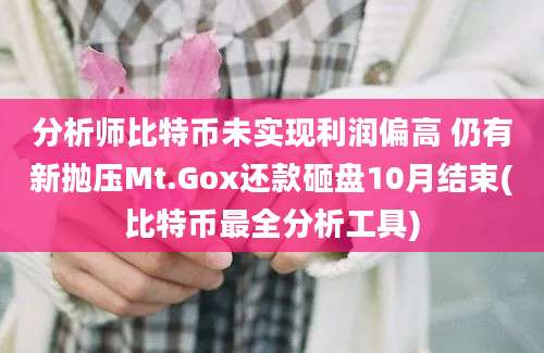 分析师比特币未实现利润偏高 仍有新抛压Mt.Gox还款砸盘10月结束(比特币最全分析工具)