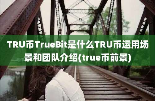 TRU币TrueBit是什么TRU币运用场景和团队介绍(true币前景)